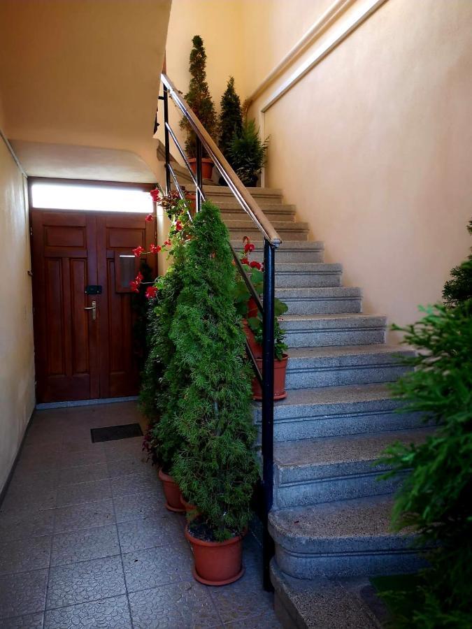 Villa Casa Ioana Brasov Luaran gambar