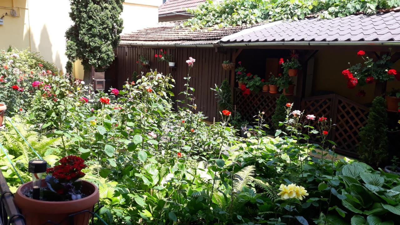 Villa Casa Ioana Brasov Luaran gambar