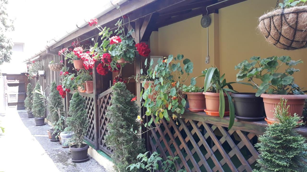 Villa Casa Ioana Brasov Luaran gambar