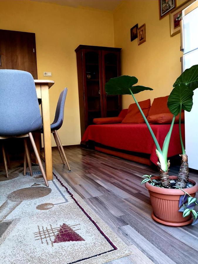 Villa Casa Ioana Brasov Bilik gambar