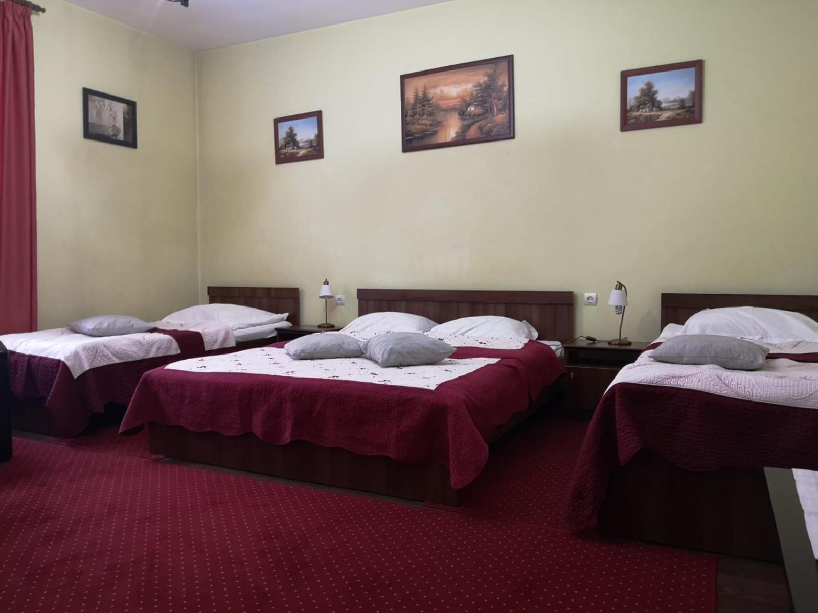 Villa Casa Ioana Brasov Bilik gambar