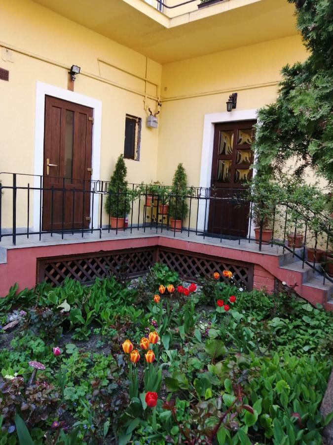 Villa Casa Ioana Brasov Luaran gambar